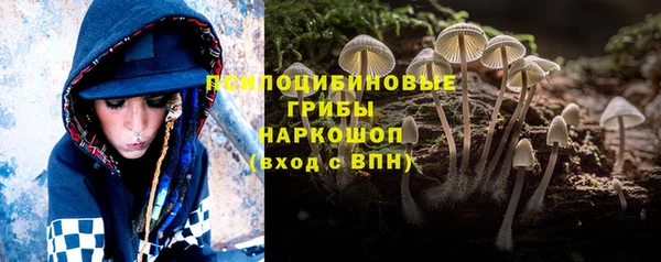 спайс Алексин