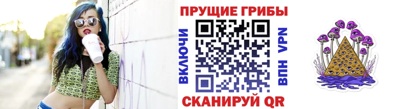Галлюциногенные грибы прущие грибы  где можно купить   Аргун 