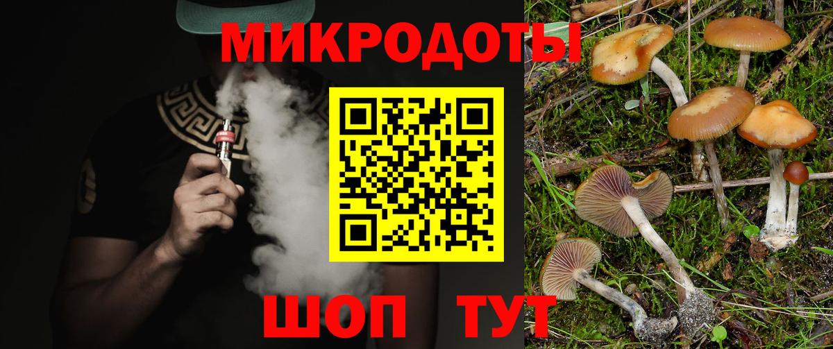 Аргун  Галлюциногенные грибы прущие грибы  Вход с VPN 